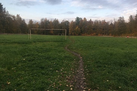 На футбольном поле в Кречевицах будет естественный газон 